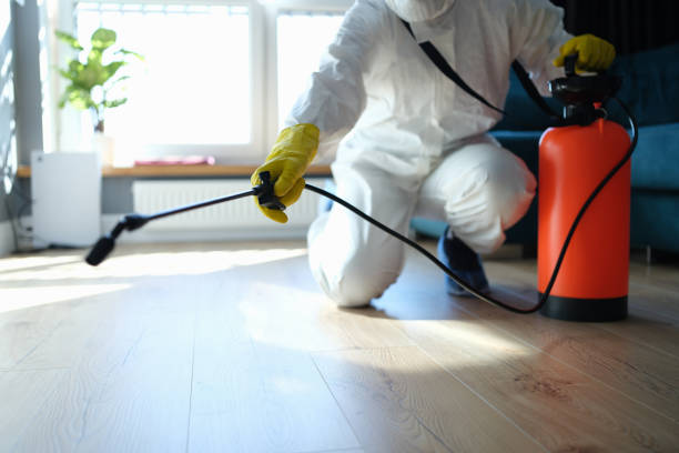 Reliable Sewage Cleanup contractor in Hawthorne, FL by Trauma Clean Pros